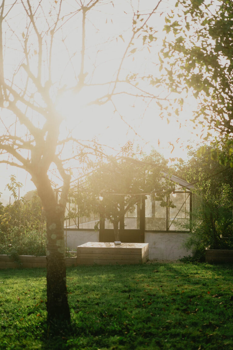 Une cérémonie de mariage sous un arbre au milieu d'un champ herbeux dans les Pyrénées-Atlantiques.