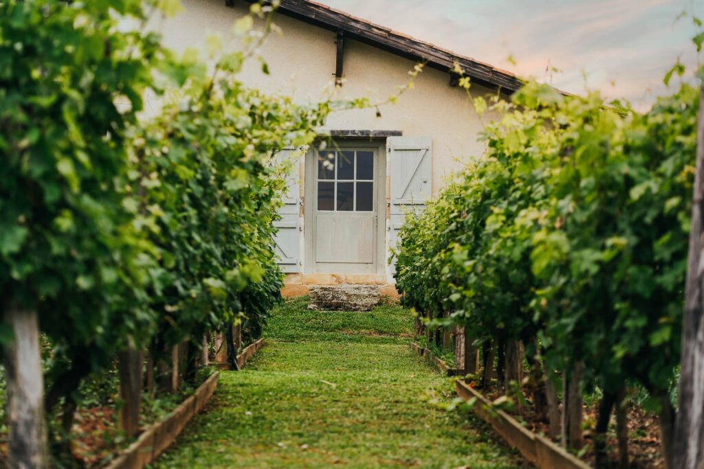 Un vignoble avec des vignes devant une maison, mettant en valeur l'activité landaise.