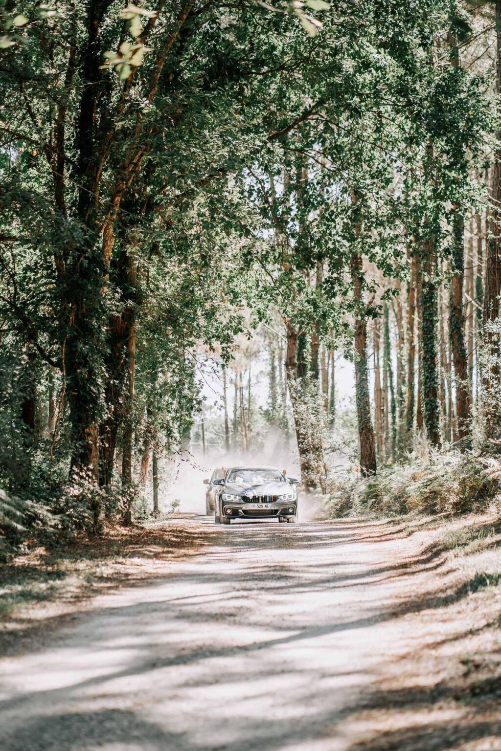 Une voiture circulant sur un chemin de terre dans les bois.