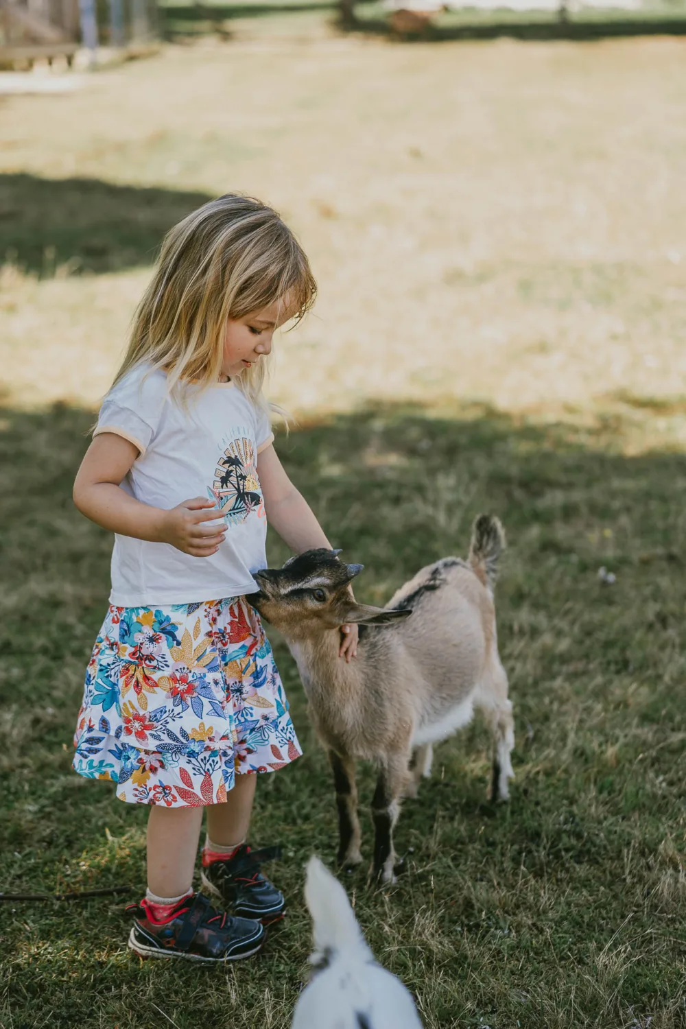 Lors de ses vacances à Porto, une jeune fille vêtue d'une chemise blanche et d'une jupe fleurie caresse une petite chèvre dans un espace herbeux, illustrant les moments enchanteurs et innocents qu'un photographe de mariage ou de famille dans les Landes pourrait capturer.