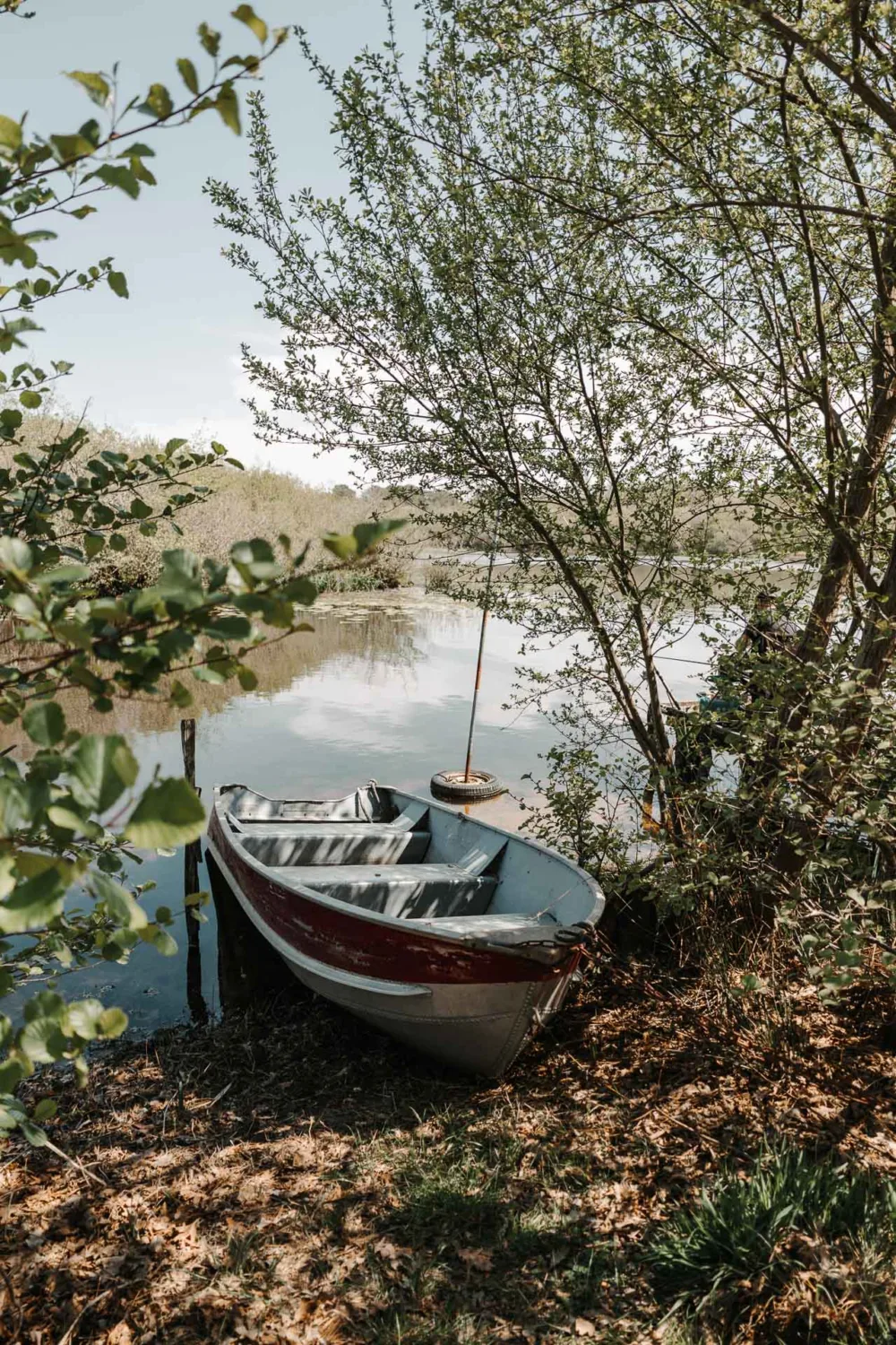 Sur cette image évoquant des vacances à Porto, un petit bateau à rames est attaché à un arbre sur la rive d'un lac calme, entouré d'une végétation dense et verdoyante ainsi que d'arbres majestueux sous un ciel dégagé, ce qui rappelle parfaitement l'ambiance sereine idéale pour une séance photo de mariage ou de famille dans les Landes.