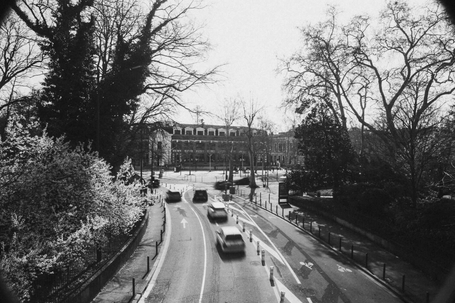 Cette image en noir et blanc, évoquant un chemin bordé d'arbres animé par le va-et-vient des voitures, rappelle les scènes typiques d'un guide exploratoire de Toulouse et, avec les bâtiments imposants à l'arrière-plan, elle capture l'essence dynamique de cette ville emblématique ; une inspiration parfaite pour les photographes de mariage ou de famille dans les Landes cherchant à immortaliser la beauté urbaine et naturelle lors d'une séance photo mémorable.