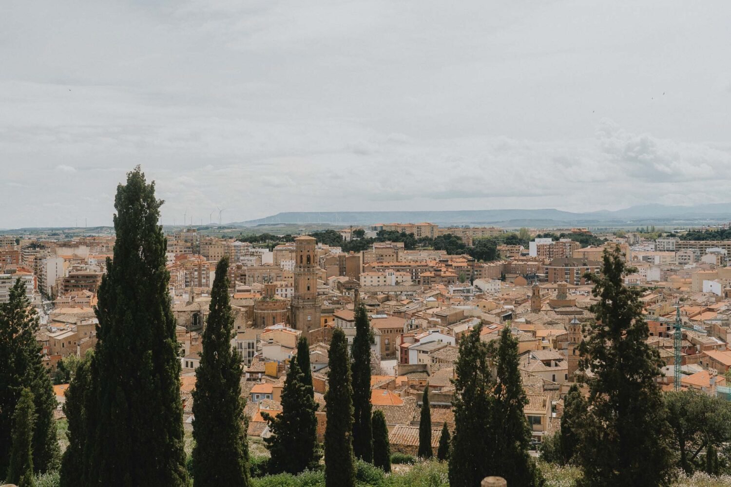 Une vue panoramique de Tudela, ses toits ocres et sa nature sous un ciel doux — l'ambiance idéale pour un séjour en famille.