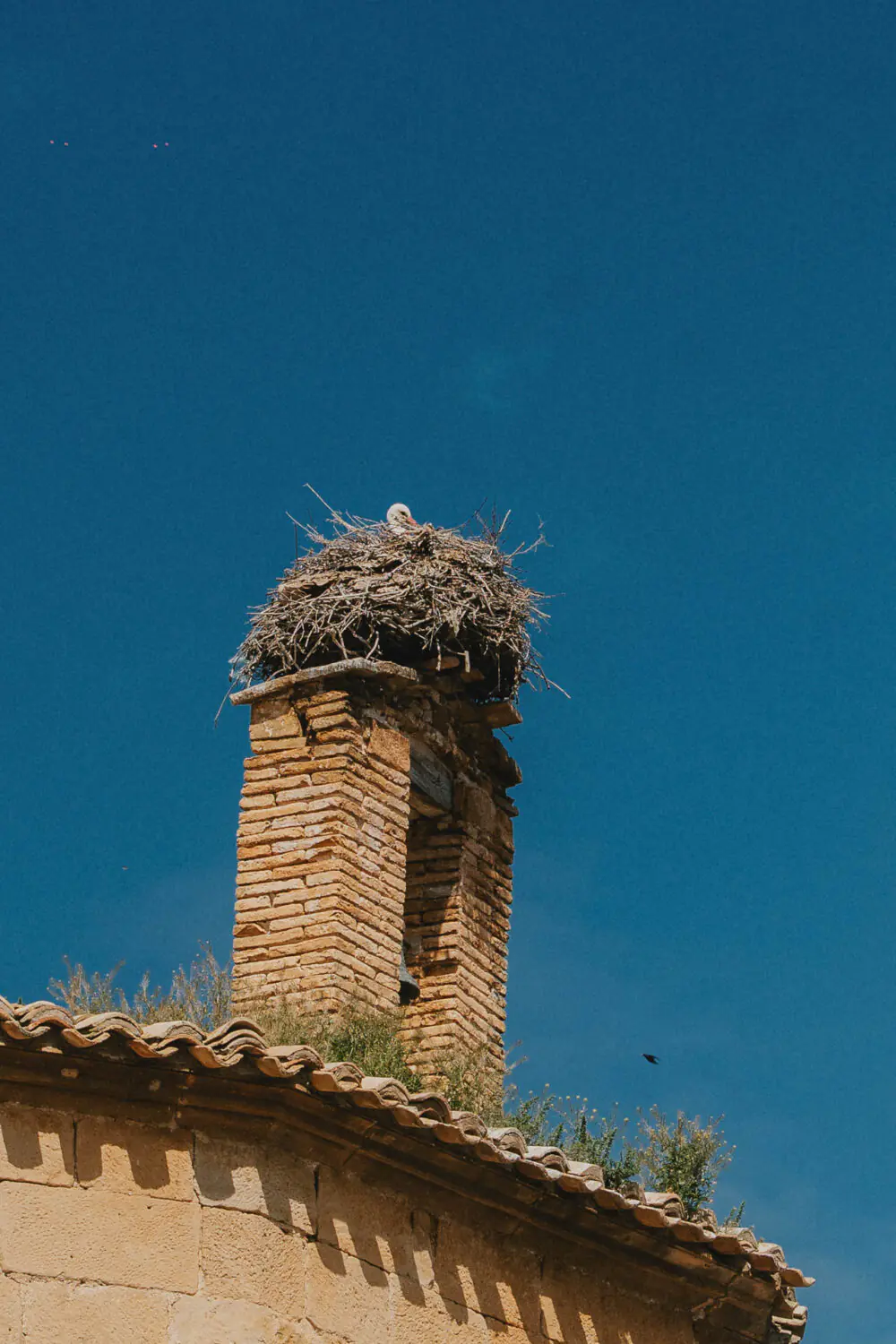 Une cigogne veille dans son nid perché, symbole de tendresse familiale sous le ciel bleu, ambiance douce de l'Espagne.