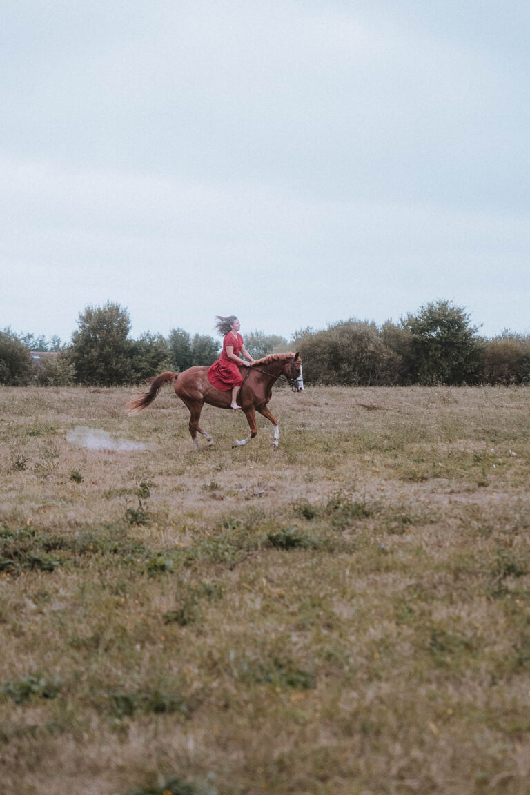 Instant doux d'après-mariage dans les Landes : une robe rouge, cheval brun, prairie verte et ciel nuageux à Dax Meysonnave.