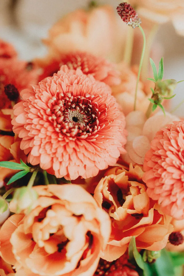 Fleurs et décoration de mariage dans les Landes