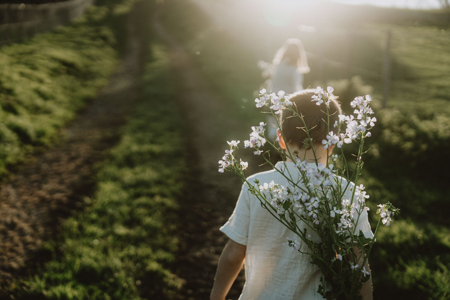 Un enfant en chemise blanche cueillant des fleurs, se promenant au coucher du soleil à Dax, un moment de complicité lors d'une séance photo en famille.