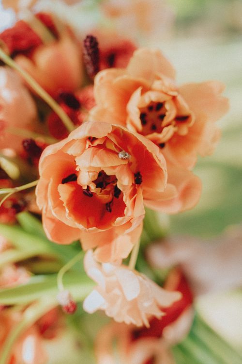 Fleurs orange éclatantes dans une lumière douce, ambiance poétique d'une séance famille au cœur des Landes, près de Dax.