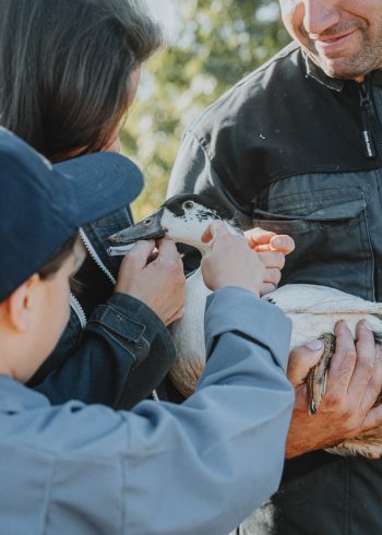 Dans une douce lumière, trois proches partagent un moment tendre autour d'un canard, ambiance champêtre des Landes.