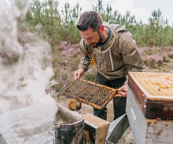 Dans un cadre extérieur idyllique des Landes, un photographe professionnel spécialisé dans la photographie de mariage et de famille immortalise avec expertise un apiculteur vêtu de sa tenue protectrice en pleine inspection d'un cadre rempli d'abeilles bourdonnantes, alors qu'une légère fumée s 'élève doucement du vaporisateur à proximité, ajoutant une atmosphère unique et authentique à ce moment capturé.